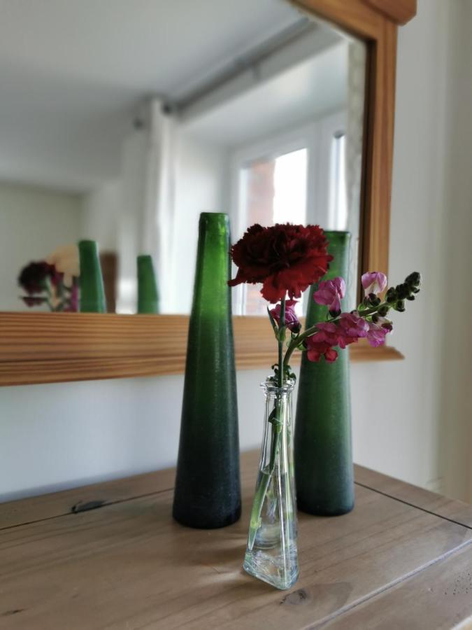 לינה וארוחת בוקר Westdorpe Housing De Brouwerij מראה חיצוני תמונה